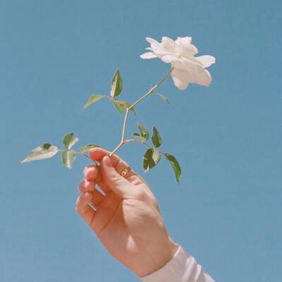 秘境对决手游下载